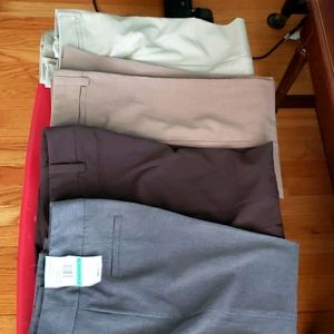 Women's dress pants